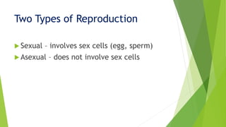Two Types of Reproduction
 Sexual – involves sex cells (egg, sperm)
 Asexual – does not involve sex cells
 