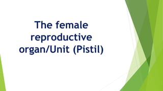 The female
reproductive
organ/Unit (Pistil)
 