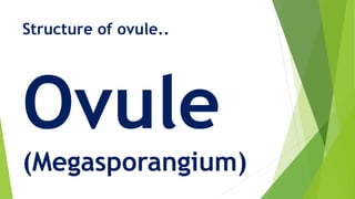 Structure of ovule..
Ovule
(Megasporangium)
 