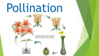 68
Pollination
 