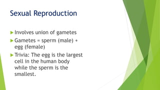 Sexual Reproduction
 Involves union of gametes
 Gametes = sperm (male) +
egg (female)
 Trivia: The egg is the largest
cell in the human body
while the sperm is the
smallest.
 