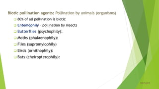 Biotic pollination agents: Pollination by animals (organisms)
 80% of all pollination is biotic
 Entomophily – pollination by insects
 Butterflies (psychophily):
 Moths (phalaenophily):
 Flies (sapromyiophily)
 Birds (ornithophily):
 Bats (cheiropterophily):
Pollination
 
