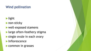  light
 non-sticky
 well-exposed stamens
 large often-feathery stigma
 single ovule in each ovary
 Inflorescence
 common in grasses
Wind pollination
 
