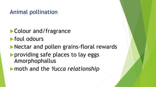 Colour and/fragrance
foul odours
Nectar and pollen grains-floral rewards
providing safe places to lay eggs
Amorphophallus
moth and the Yucca relationship
Animal pollination
 