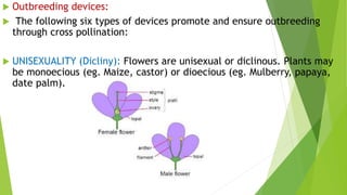  Outbreeding devices:
 The following six types of devices promote and ensure outbreeding
through cross pollination:
 UNISEXUALITY (Dicliny): Flowers are unisexual or diclinous. Plants may
be monoecious (eg. Maize, castor) or dioecious (eg. Mulberry, papaya,
date palm).
 