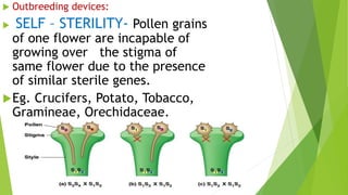  Outbreeding devices:
 SELF – STERILITY- Pollen grains
of one flower are incapable of
growing over the stigma of
same flower due to the presence
of similar sterile genes.
Eg. Crucifers, Potato, Tobacco,
Gramineae, Orechidaceae.
 