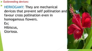  Outbreeding devices:

HERKOGAMY: They are mechanical
devices that prevent self pollination and
favour cross pollination even in
homogamous flowers.
Ex;
Hibiscus,
Gloriosa.
 