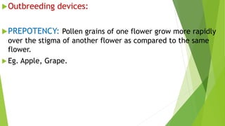 Outbreeding devices:
PREPOTENCY: Pollen grains of one flower grow more rapidly
over the stigma of another flower as compared to the same
flower.
 Eg. Apple, Grape.
 