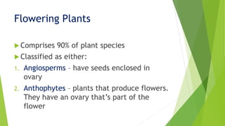 Flowering Plants
 Comprises 90% of plant species
 Classified as either:
1. Angiosperms – have seeds enclosed in
ovary
2. Anthophytes – plants that produce flowers.
They have an ovary that’s part of the
flower
 
