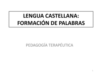 LENGUA CASTELLANA:
FORMACIÓN DE PALABRAS


  PEDAGOGÍA TERAPÉUTICA




                          1
 