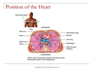 Prefinal_Circulatory2 .pdf