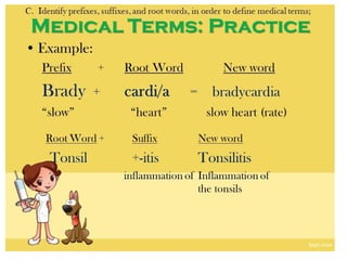 Terms