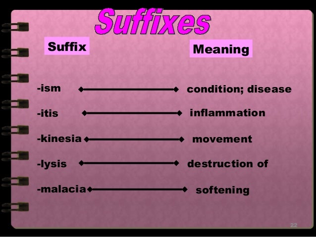 Medical Terms Prefix And Suffixes