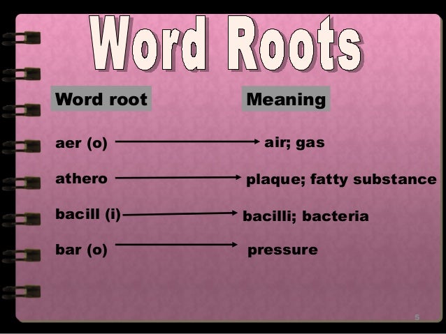 Medical Terms Prefix And Suffixes
