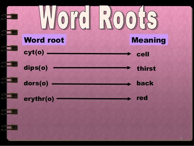 medical terms prefix and suffixes the combining form pseud o is defined as