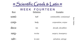 Prefixes-and-Suffixes-Scientific-Greek-and-Latin.pptx