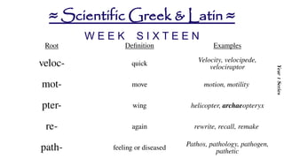 Prefixes-and-Suffixes-Scientific-Greek-and-Latin.pptx