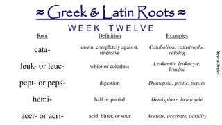 Prefixes-and-Suffixes-Scientific-Greek-and-Latin.pptx