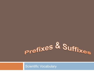 Prefixes & Suffixes Scientific Vocabulary 