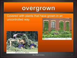 • Covered with plants that have grown in an
uncontrolled way
Mrs. Riham El-Ashry 7
 