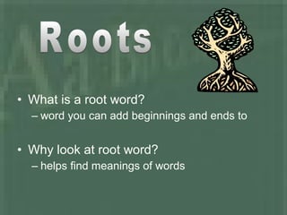 • What is a root word?
– word you can add beginnings and ends to
• Why look at root word?
– helps find meanings of words
 