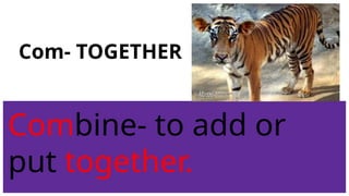 Prefixes for Core Knowledge Students MSS | PPTX