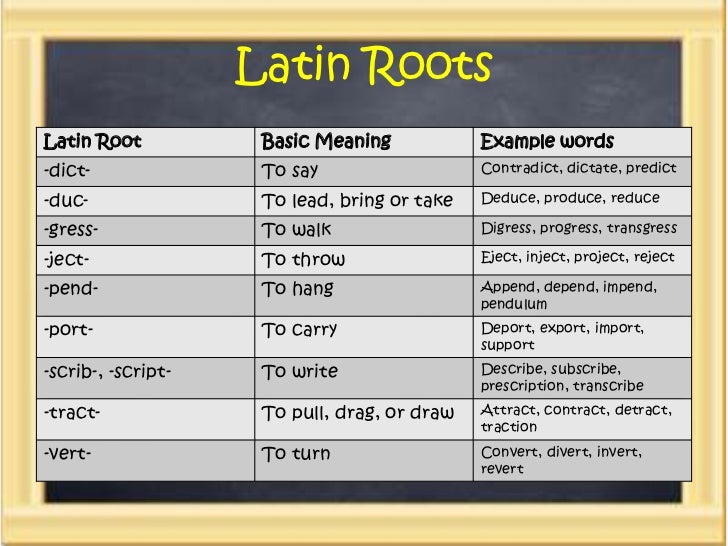 Latin Suffixes And Prefixes 58