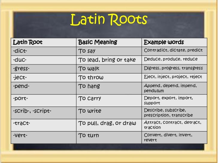 Greek Latin Prefix 67