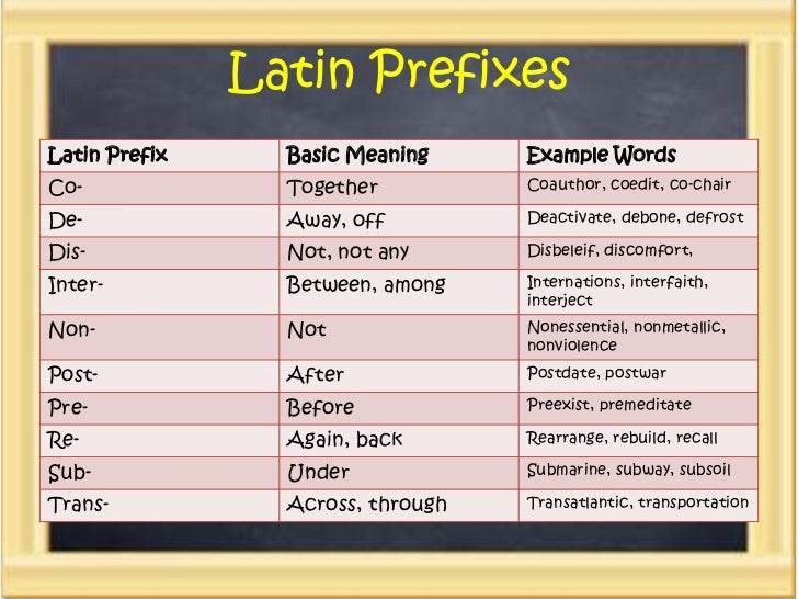 Latin Suffixes And Prefixes 114