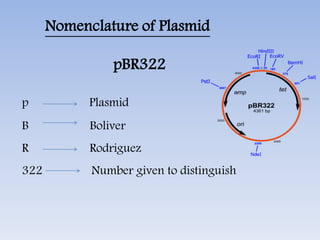 vector and its types