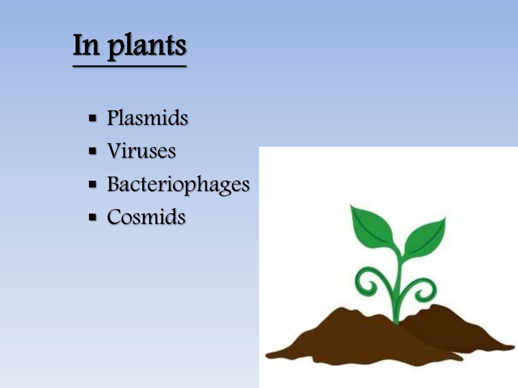 vector and its types