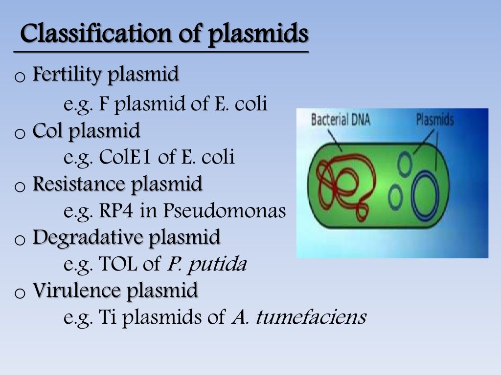 vector and its types