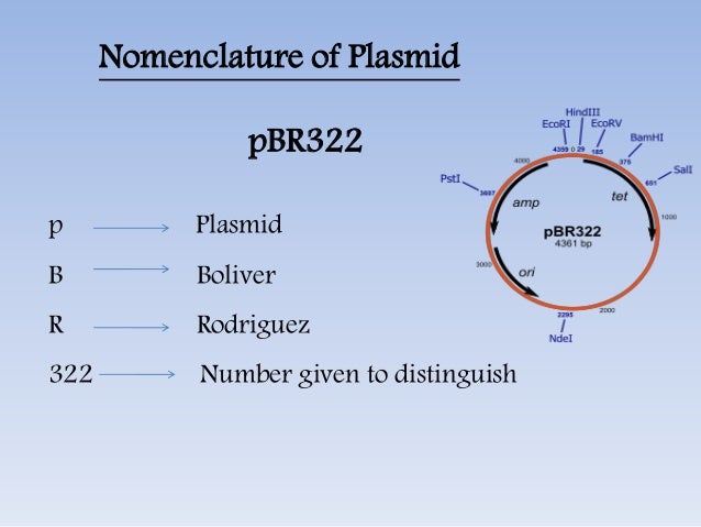 vector and its types