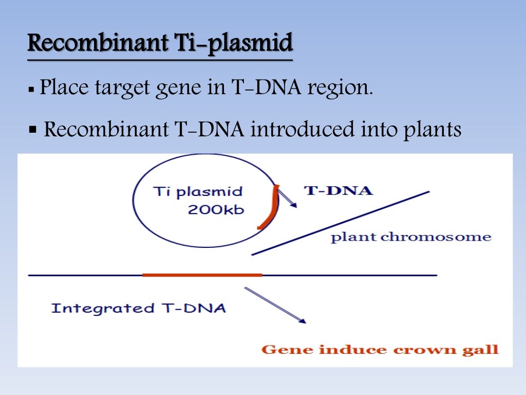 vector and its types