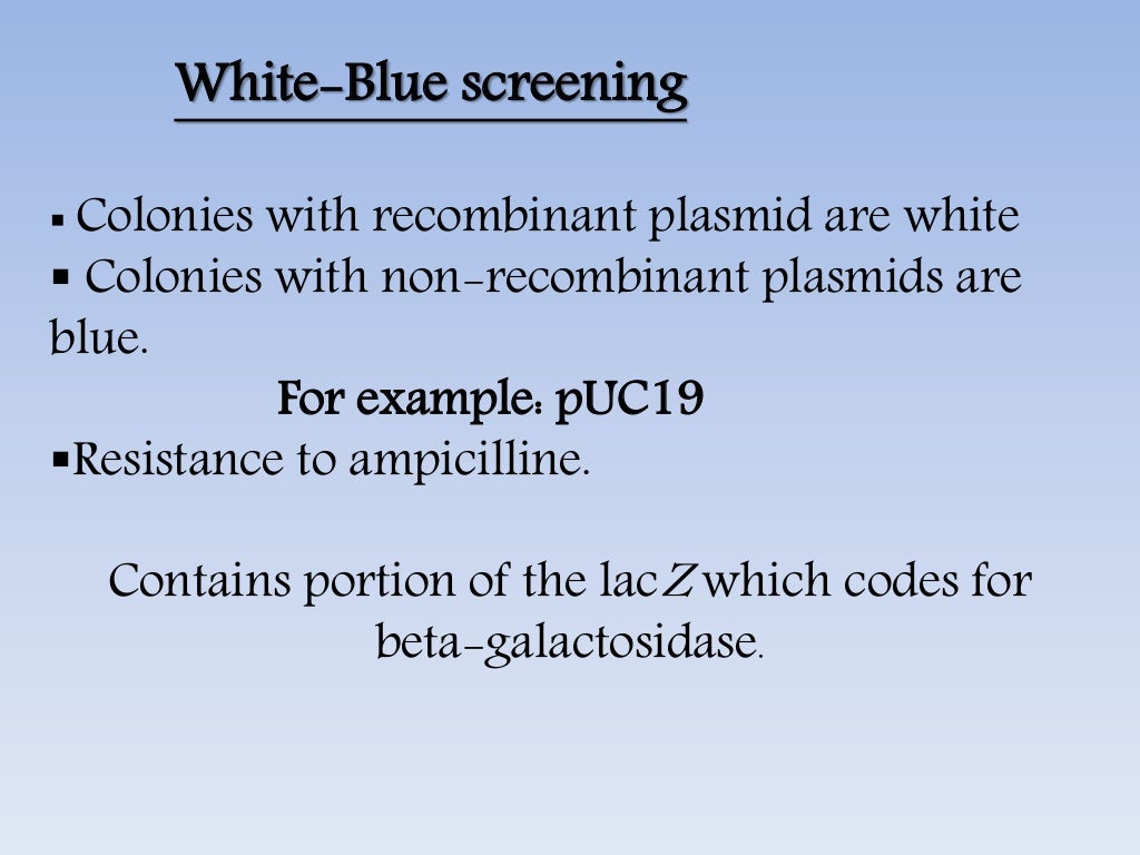 vector and its types