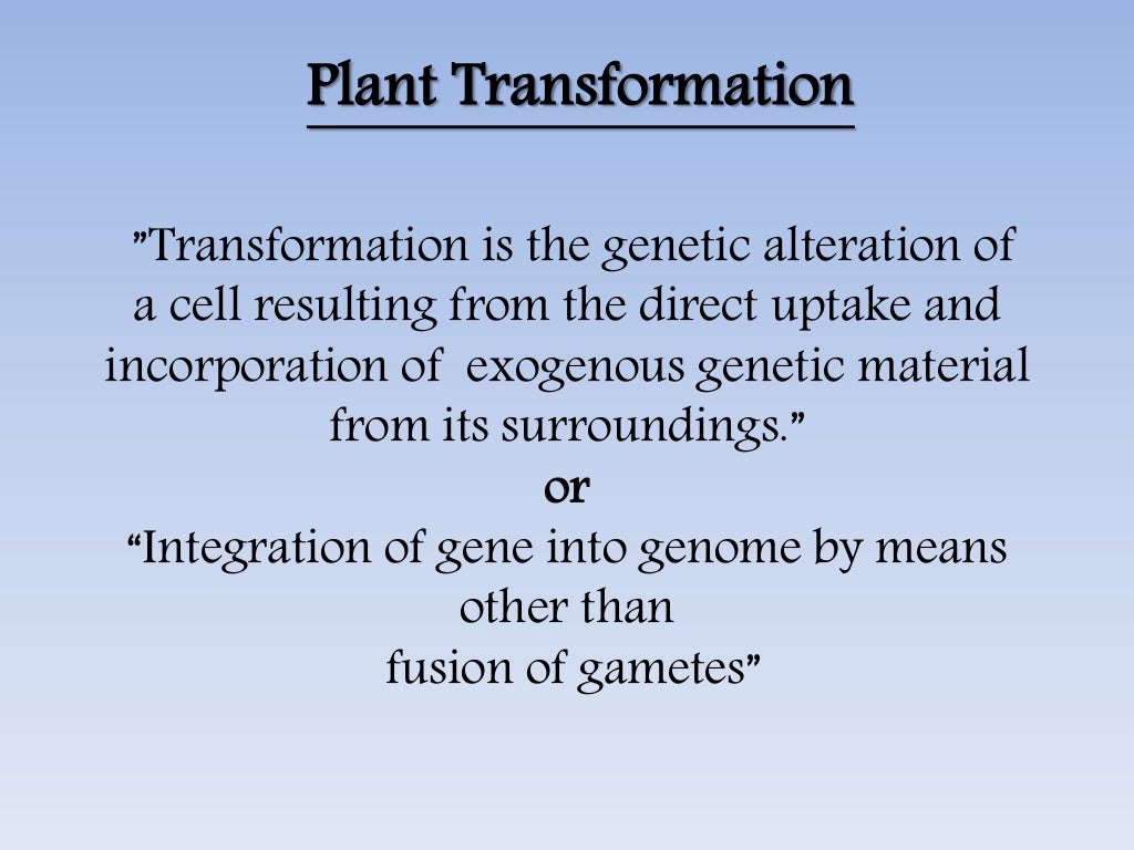 vector and its types