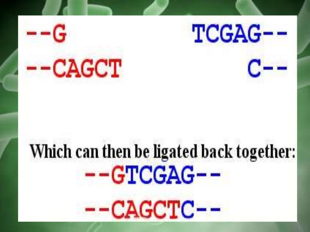 vector and its types