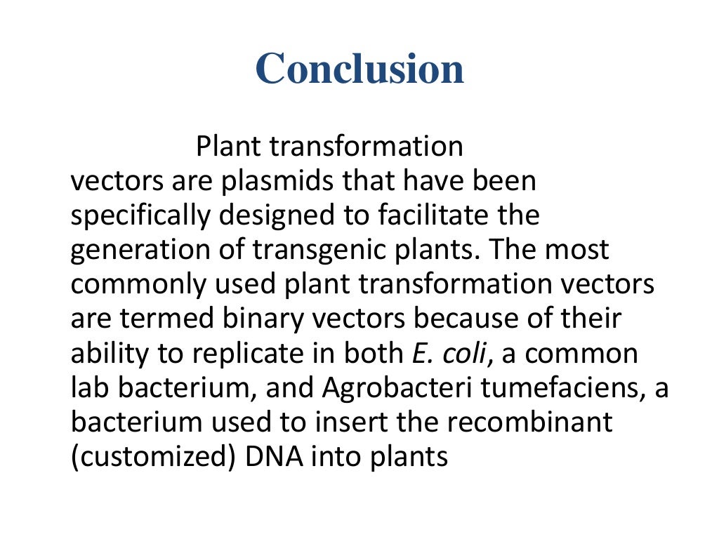 vector and its types