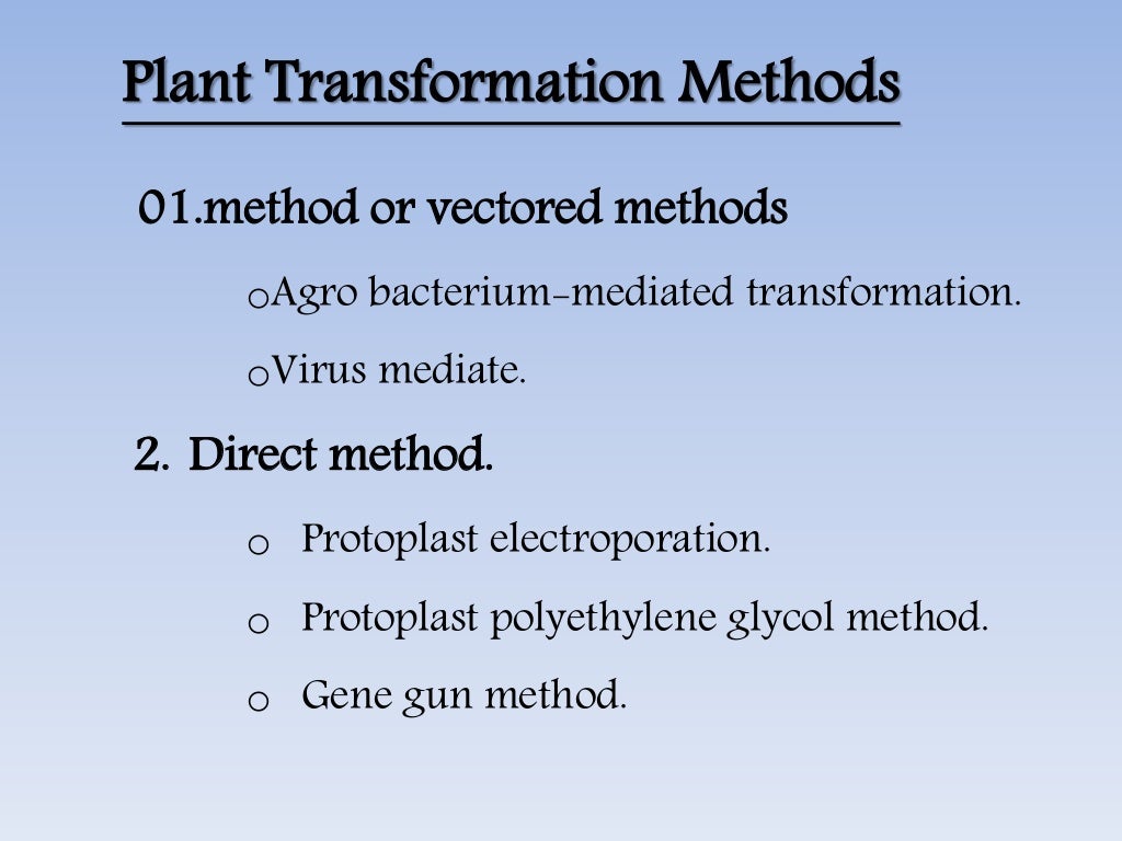 vector and its types