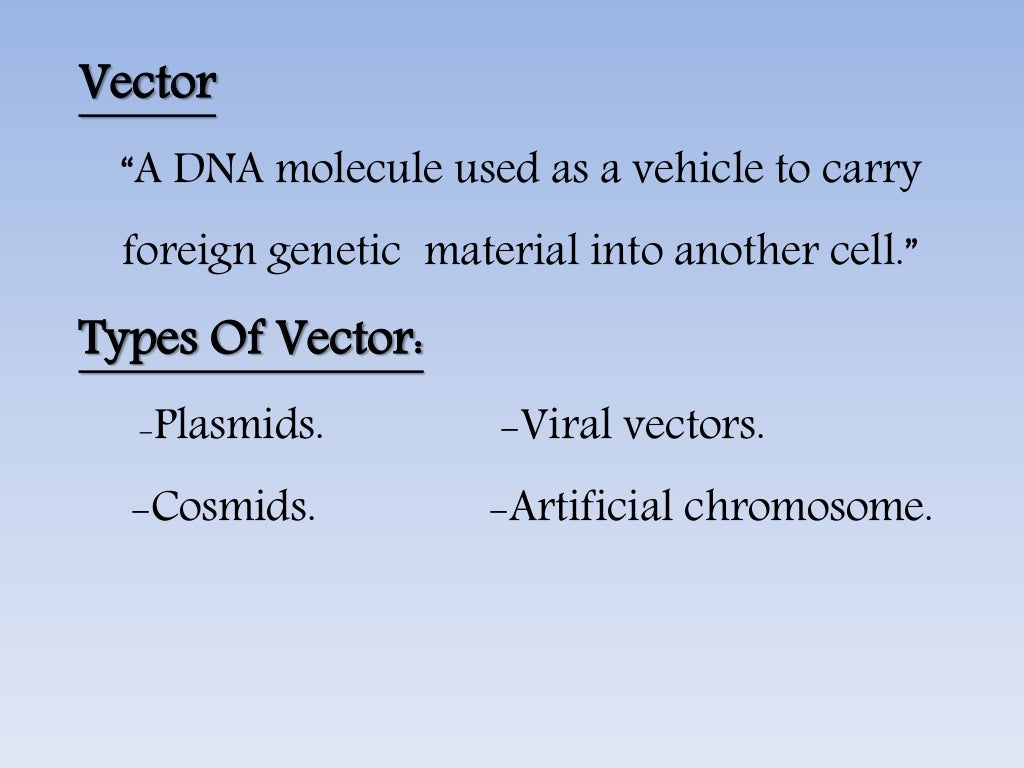 vector and its types