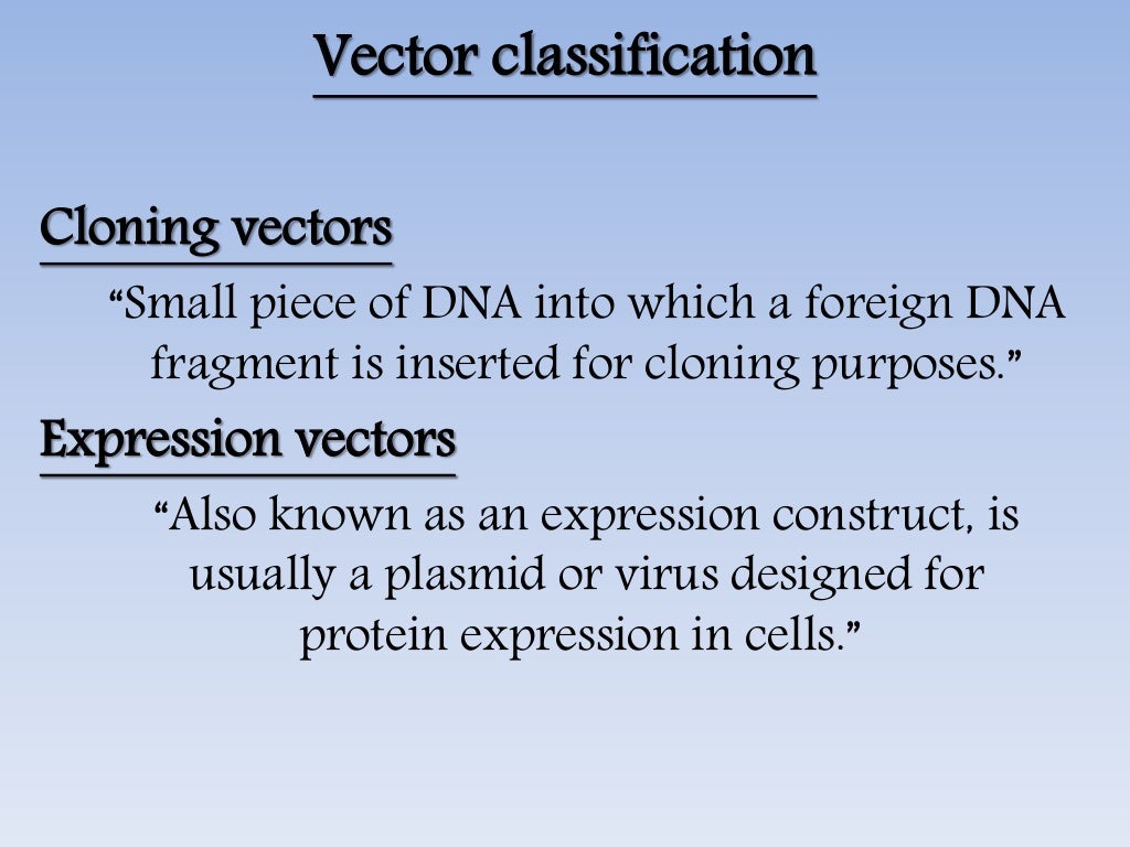 vector and its types