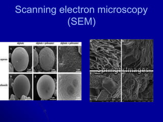 Scanning electron microscopy
(SEM)
 