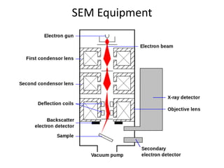 SEM Equipment 
 