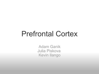 Prefrontal Cortex Adam Ganik Julia Piskova  Kevin Ilango 