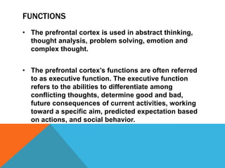 Prefrontal cortex | PPTX