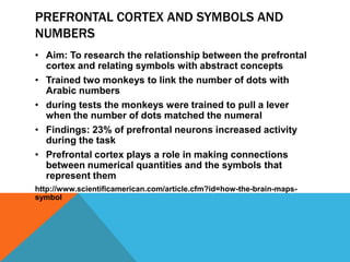 PREFRONTAL CORTEX AND SYMBOLS AND
NUMBERS
• Aim: To research the relationship between the prefrontal
cortex and relating s...