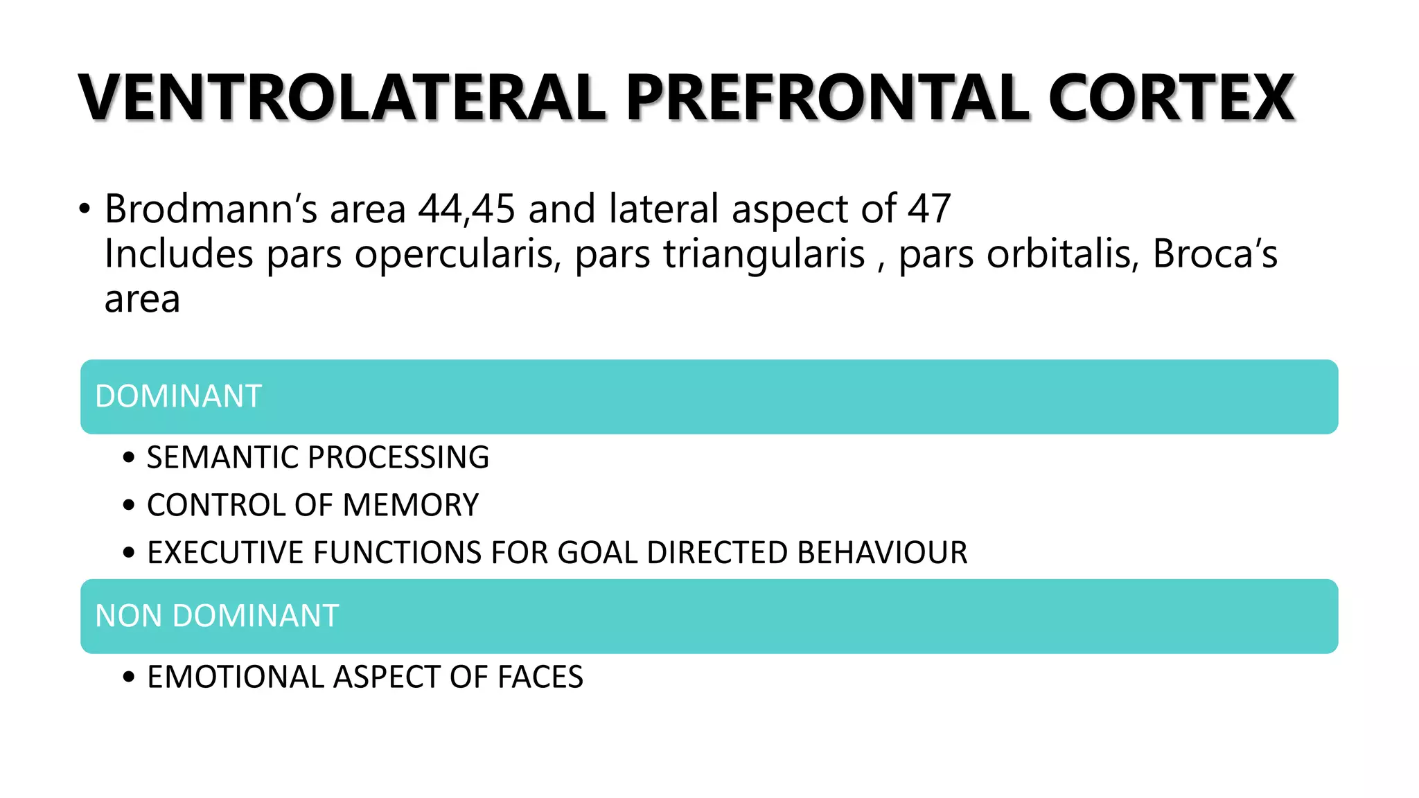 VENTROLATERAL PREFRONTAL CORTEX
• Brodmann’s area 44,45 and lateral aspect of 47
Includes pars opercularis, pars triangularis , pars orbitalis, Broca’s
area
DOMINANT
• SEMANTIC PROCESSING
• CONTROL OF MEMORY
• EXECUTIVE FUNCTIONS FOR GOAL DIRECTED BEHAVIOUR
NON DOMINANT
• EMOTIONAL ASPECT OF FACES
 