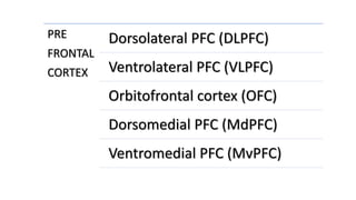 PRE
FRONTAL
CORTEX
Dorsolateral PFC (DLPFC)
Ventrolateral PFC (VLPFC)
Orbitofrontal cortex (OFC)
Dorsomedial PFC (MdPFC)
Ventromedial PFC (MvPFC)
 