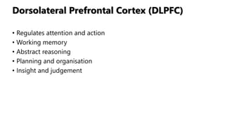 Dorsolateral Prefrontal Cortex (DLPFC)
• Regulates attention and action
• Working memory
• Abstract reasoning
• Planning and organisation
• Insight and judgement
 