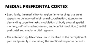 MEDIAL PREFRONTAL CORTEX
• Specifically, the medial frontal region (anterior cingulate area)
appears to be involved in bimanual coordination, attention to
demanding cognitive tasks, modulation of body arousal, spatial
memory, self-initiated movement, and conflict resolution (medial
prefrontal and medial orbital regions).
• The anterior cingulate cortex is also involved in the perception of
pain and possibly in mediating the emotional response behind it.
 